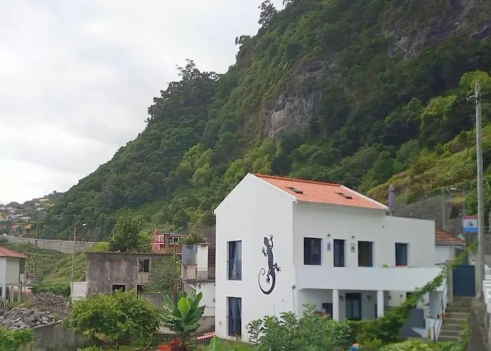 Lazy Lizard By The Ocean Seixal (Madeira)