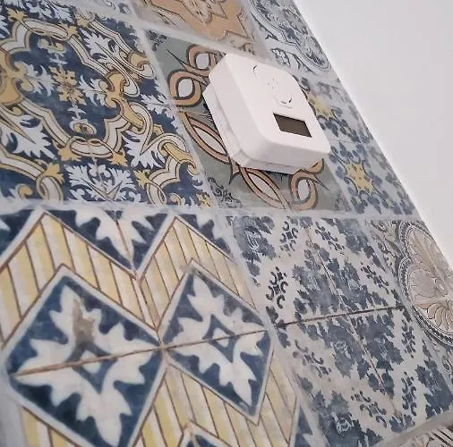 Lazy Lizard By The Ocean Seixal (Madeira)