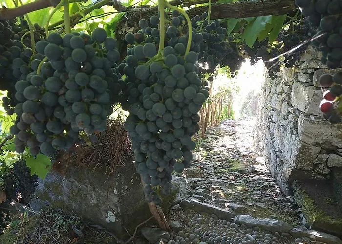 Lazy Lizard By The Ocean Διαμέρισμα