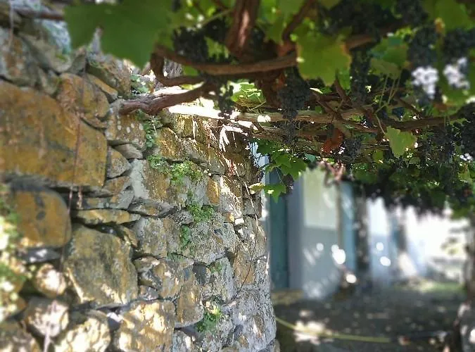 Διαμέρισμα Lazy Lizard By The Ocean Seixal (Madeira)