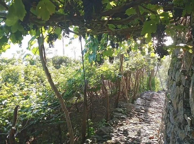 Διαμέρισμα Lazy Lizard By The Ocean Seixal (Madeira)