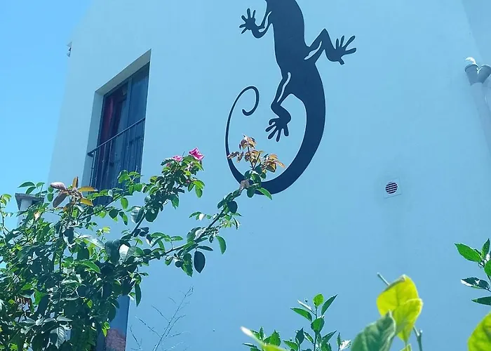 Lazy Lizard By The Ocean